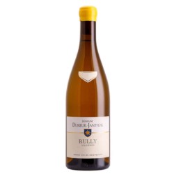 Domaine Dureuil-Janthial - Maizieres Rully Blanc 2022 - White Wine 75cl